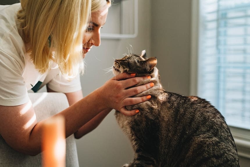 Tierärztin mit Katze Eine Ärztin streichelt eine Katze