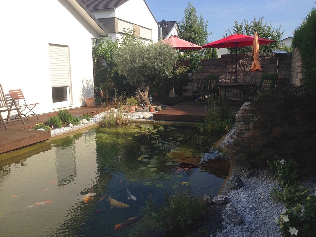 Teich mit Blick aufs Wohnhaus