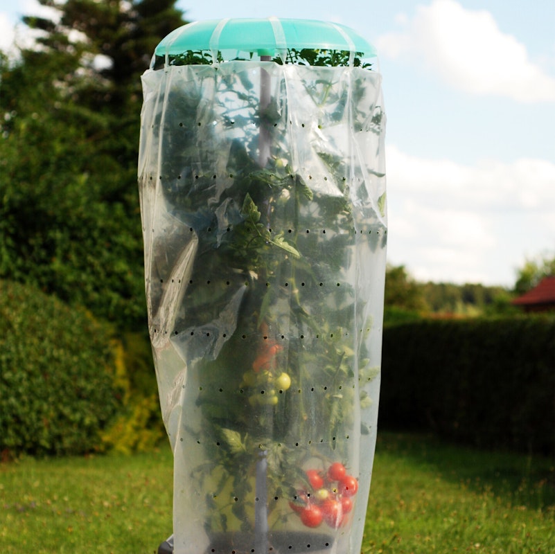 Der KHW Tomatenhut schützt Ihre Tomatenpflanzen effektiv vor Witterungseinflüssen Der KHW Tomatenhut schützt Ihre Tomatenpflanzen effektiv vor Witterungseinflüssen