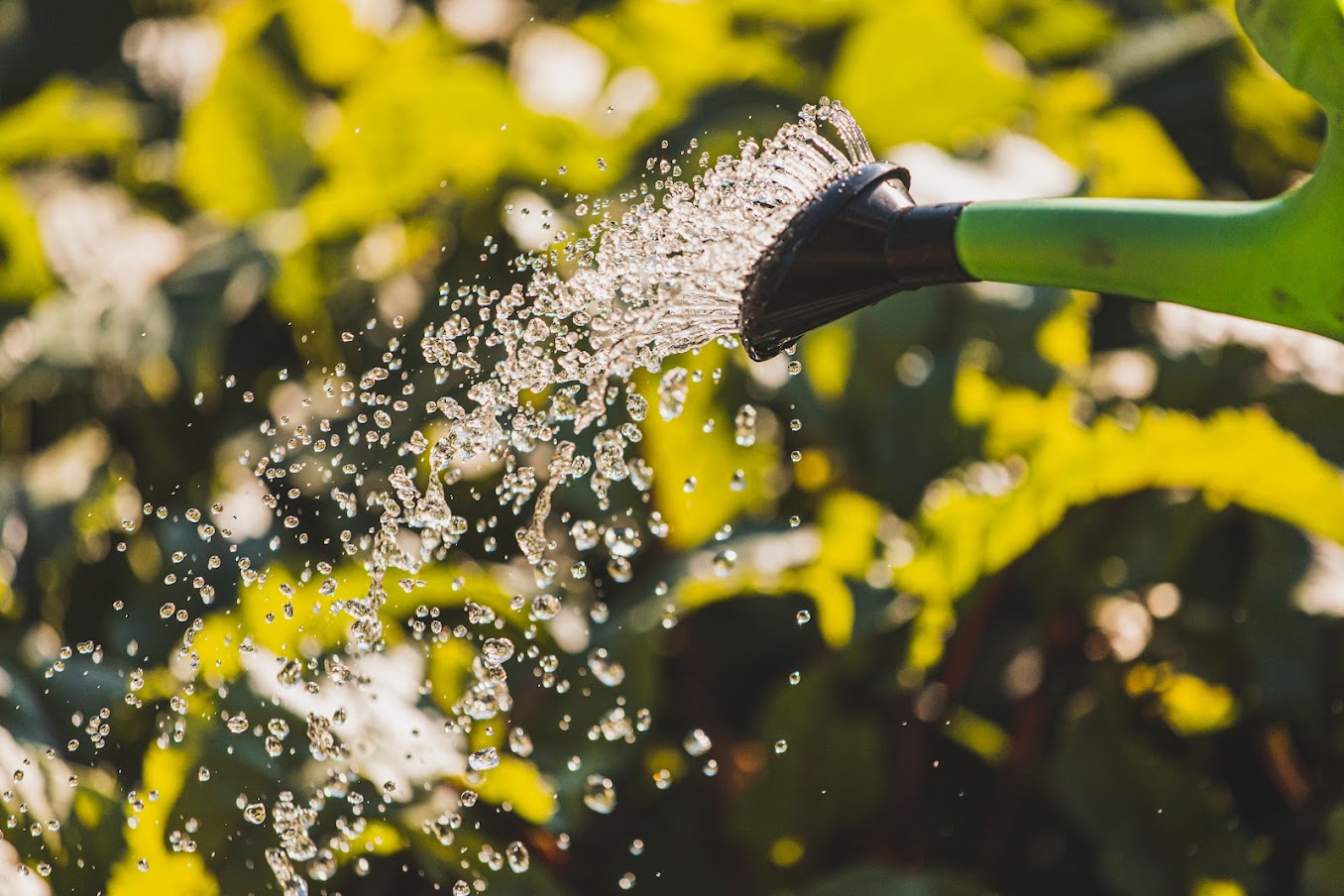 Produktfreisteller rechts