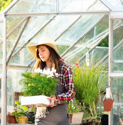 Gewächshaus im Frühling - Startklar für die Saison