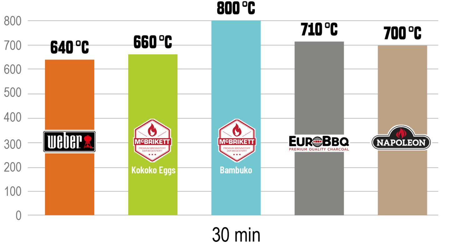 Temperatur nach 30 Minuten Temperatur der Briketts nach 30 Minuten