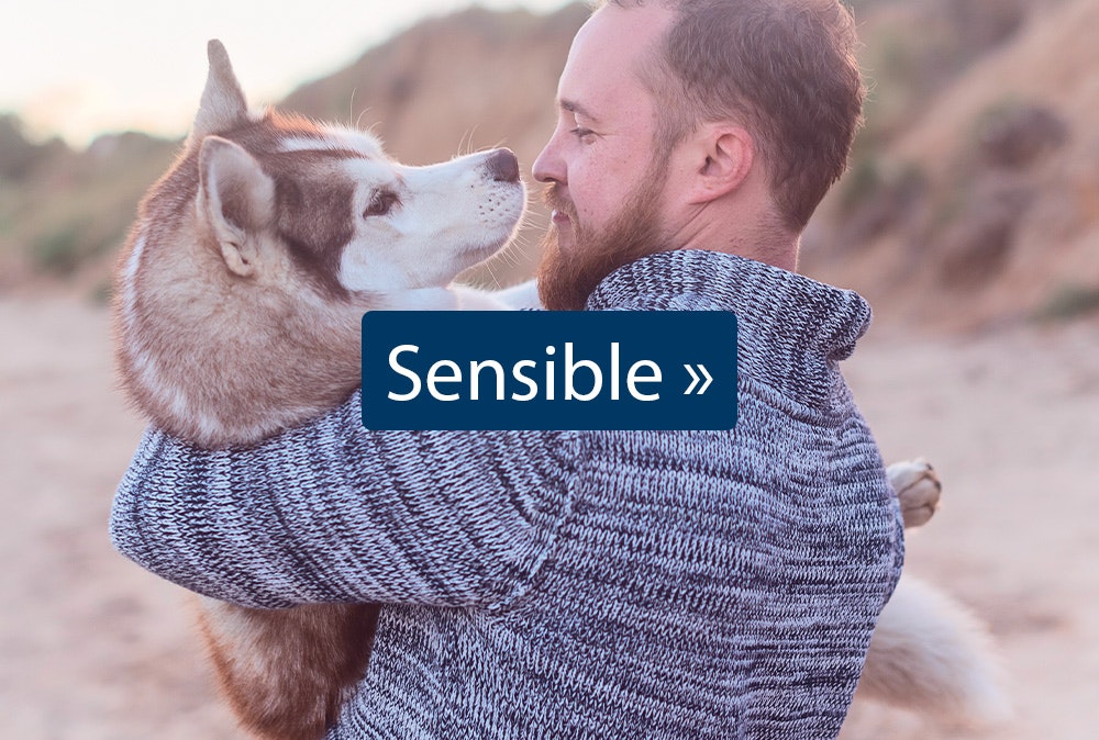 Sensible Sensible Hundefutter