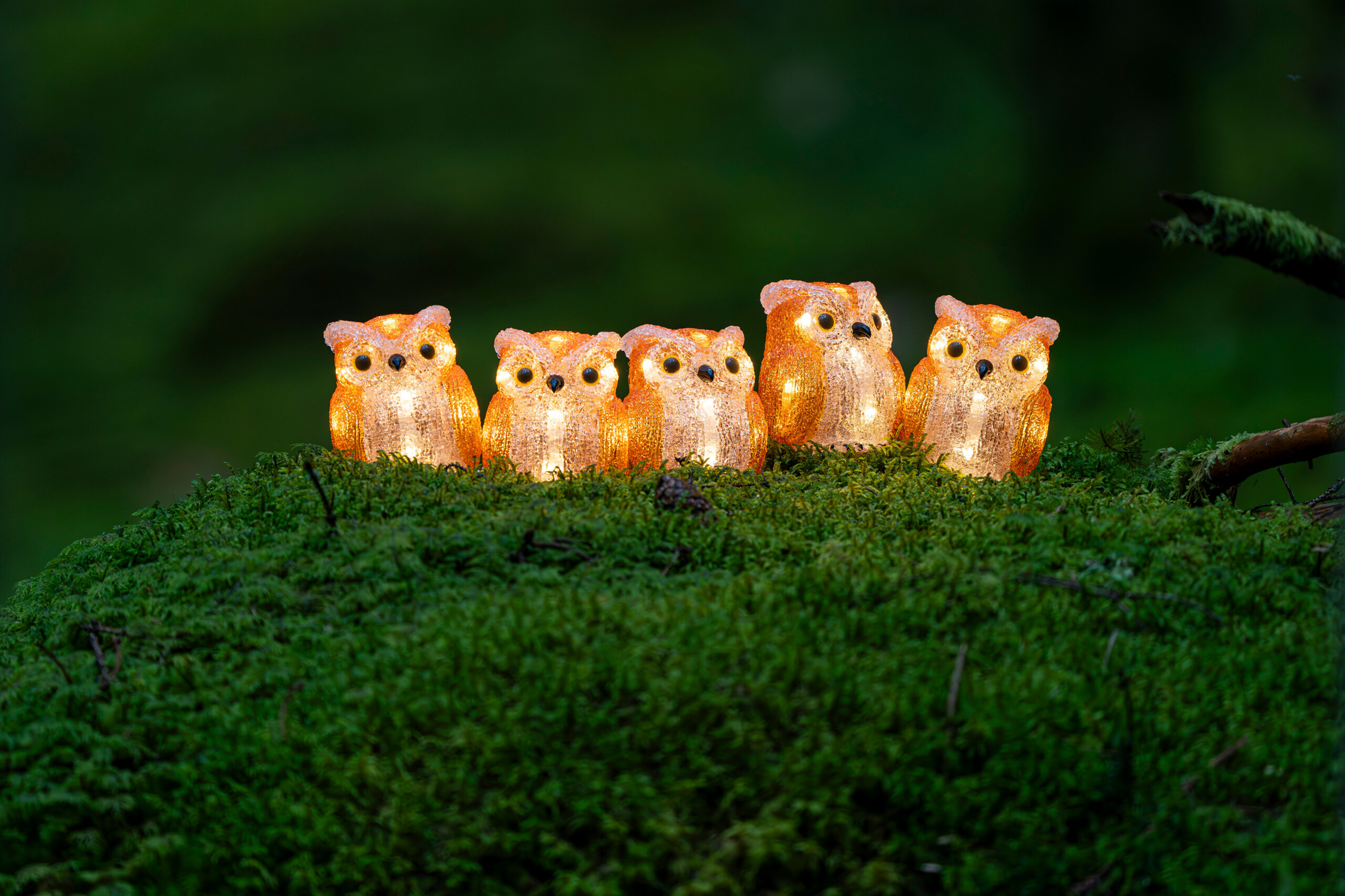 10% auf Weihnachtsbeleuchtung