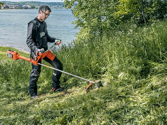 Trimmer oder Motorsense: Was macht für mich Sinn?