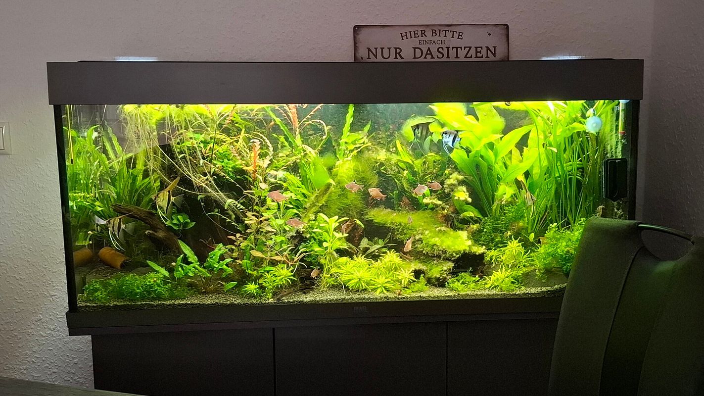  JUWEL Rio 240 LED Aquarium mit Unterschrank