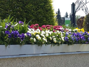 Paul Wolff Pflanzwanne aus Edelstahl zur bauseitigen Begrünung