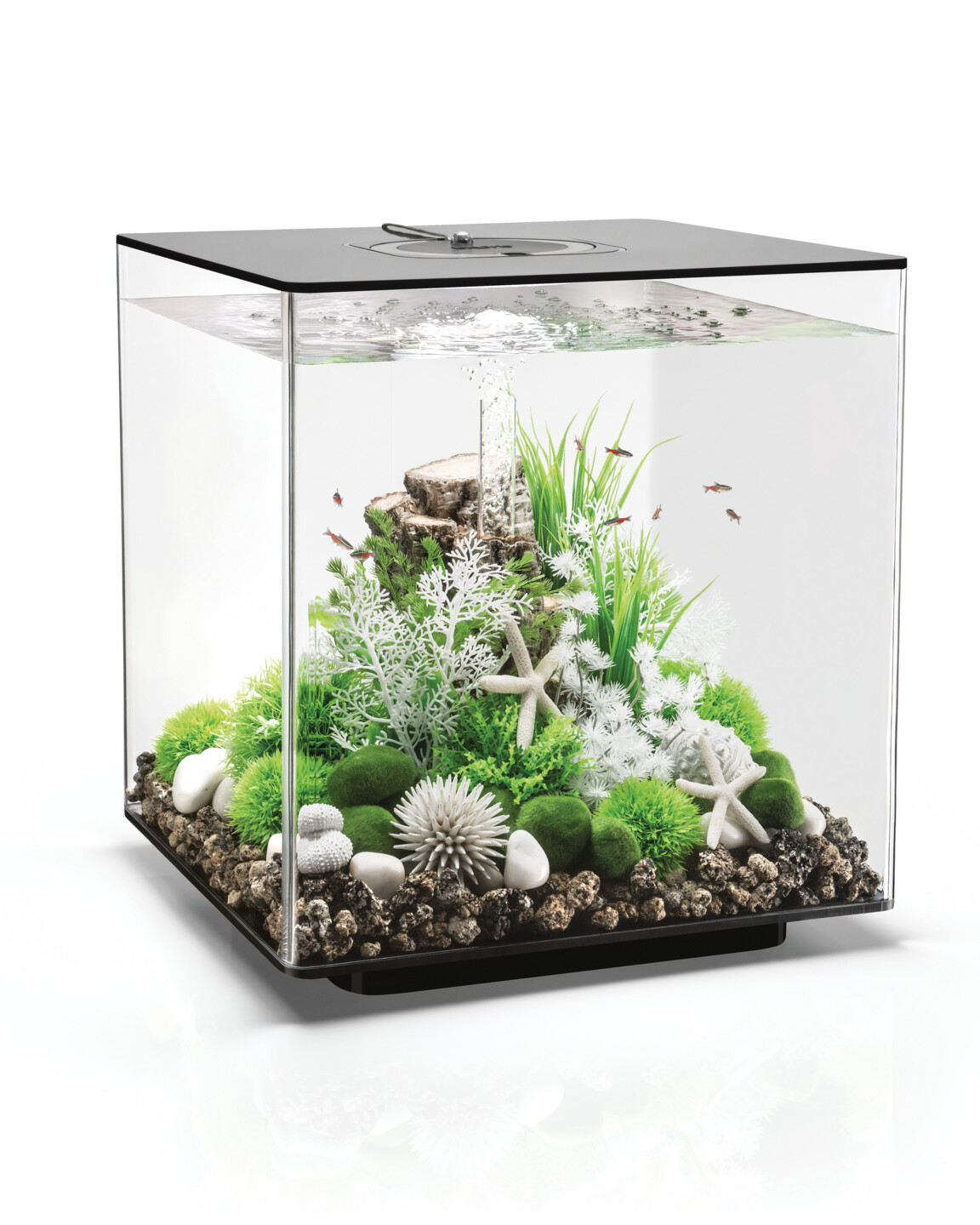 BiOrb CUBE Aquarium