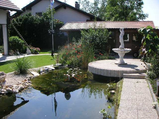 Seitenansicht Teich