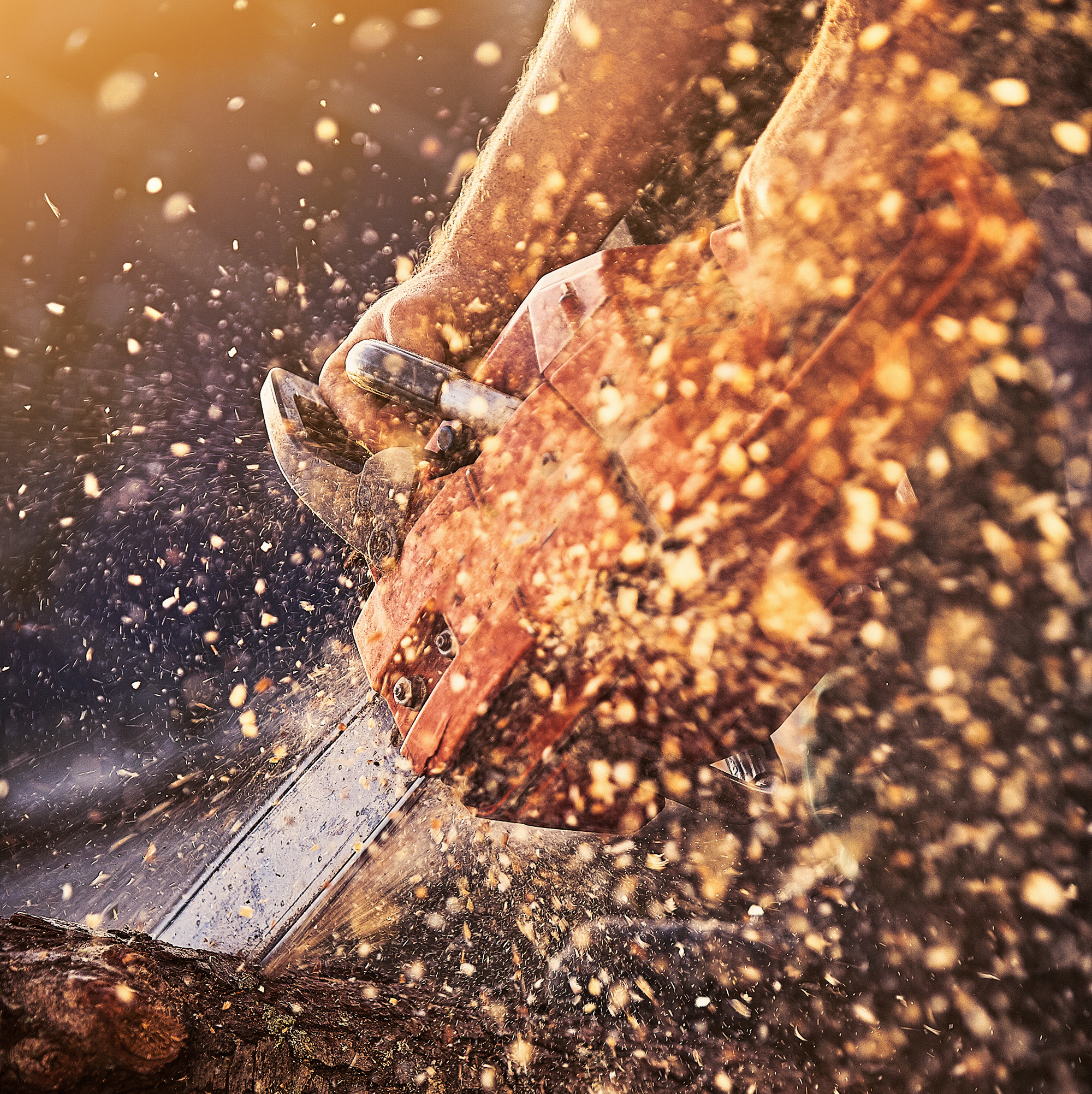 Wann nachschärfen? Stumpfe Kette erkennen