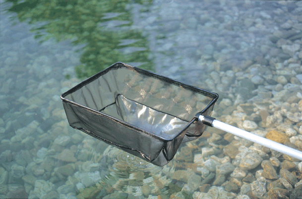 Klares, sauerstoffreiches Wasser braucht Teichpflege Klares, sauerstoffreiches Wasser braucht Teichpflege