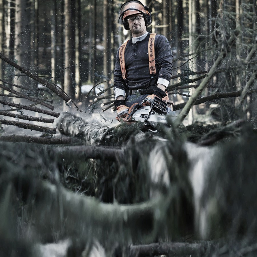 Brennholz selber machen: Das muss mit in den Wald!