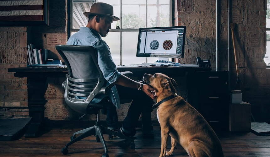 Mann mit Hut streichelt seinen Hund am Arbeitsplatz Ein Mann mit Hut, der an einem Computerschreibtisch sitzt, streichelt einen großen braunen Hund am Hals