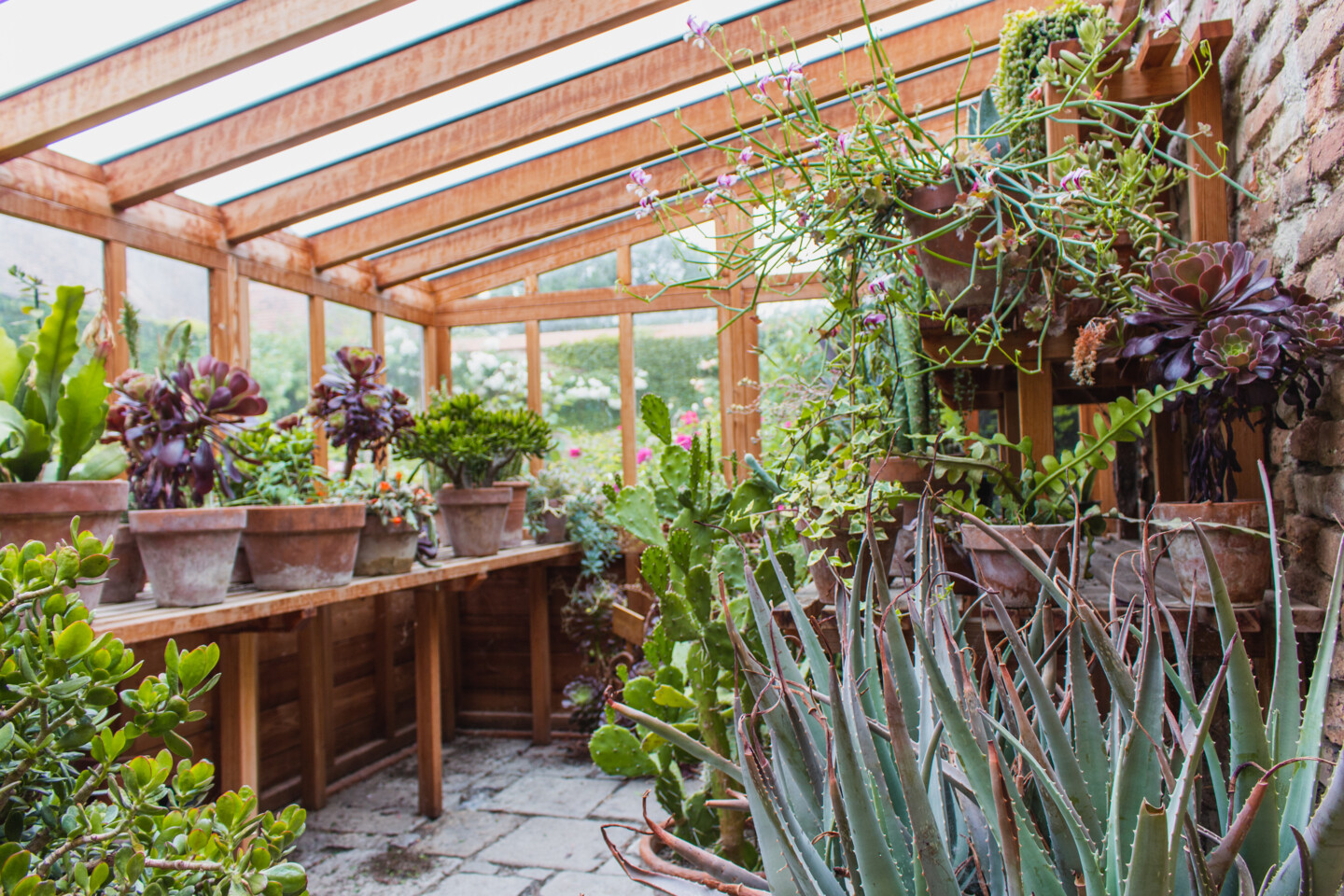 Ein kleines Sukkulentenhaus ist ein Traum für viele Hobbygärtner und Züchter