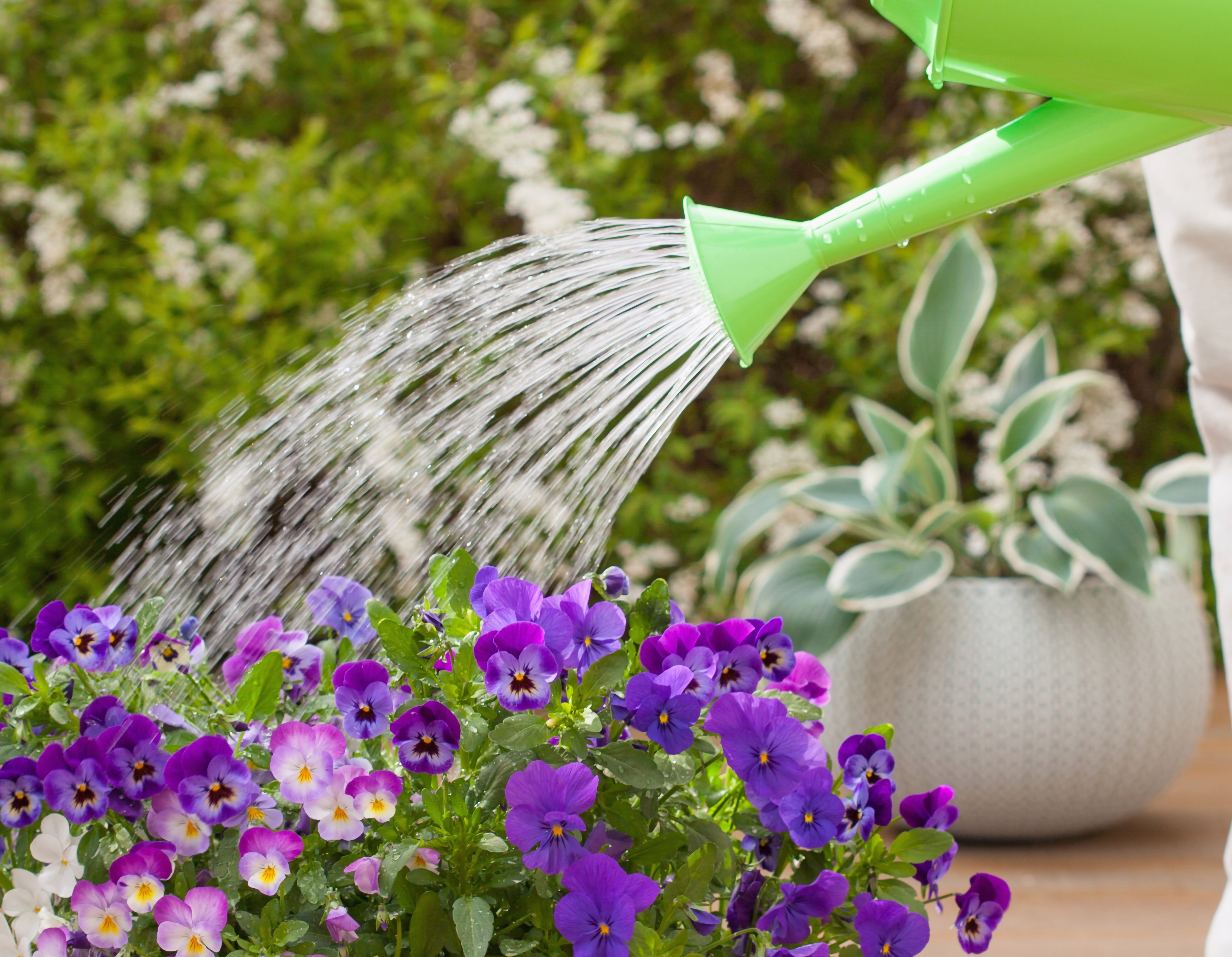 Bewässerungs-Lösungen während der Urlaubszeit