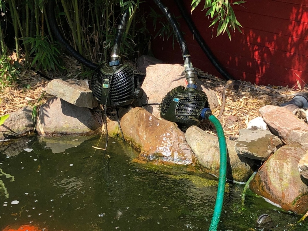 Teichpumpe