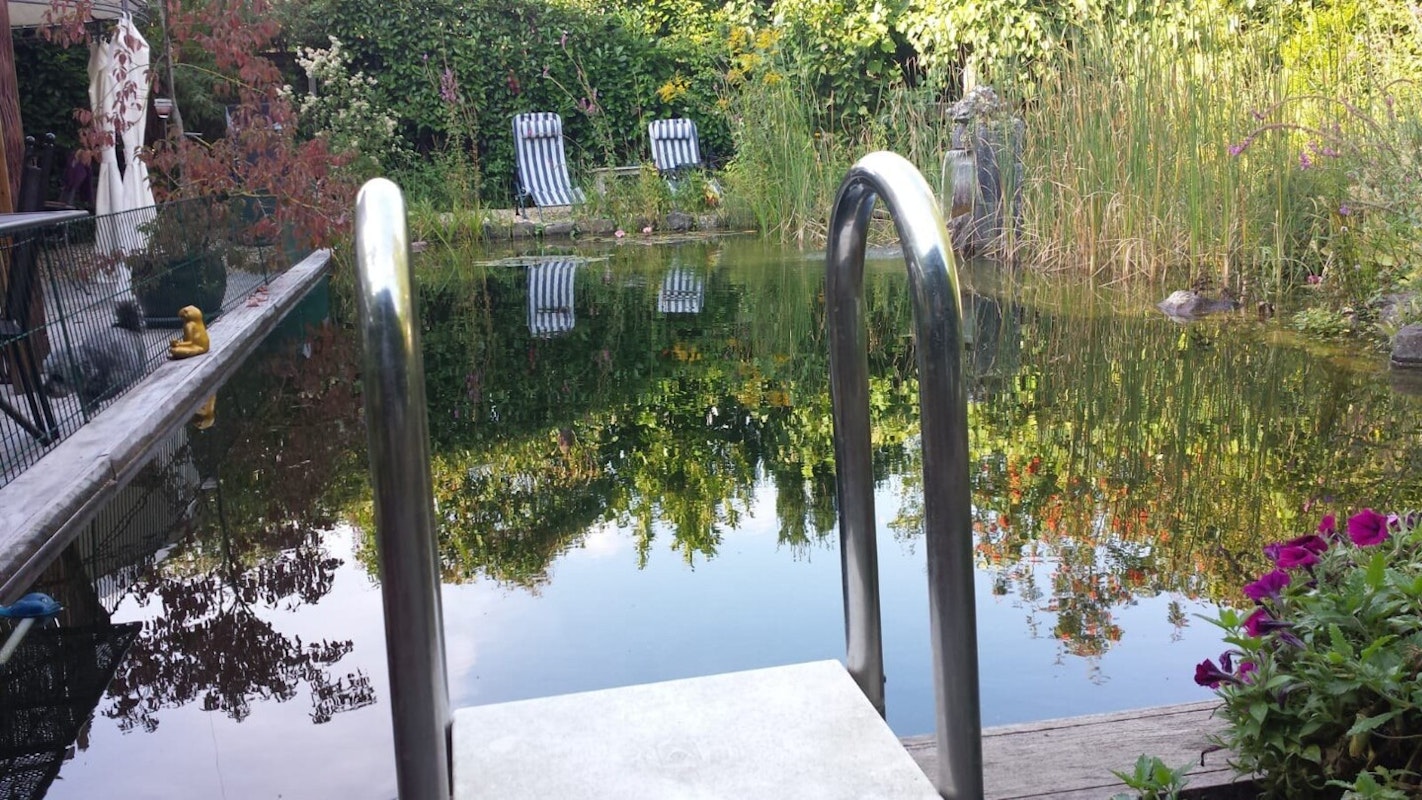 Leiter zum Schwimmteich