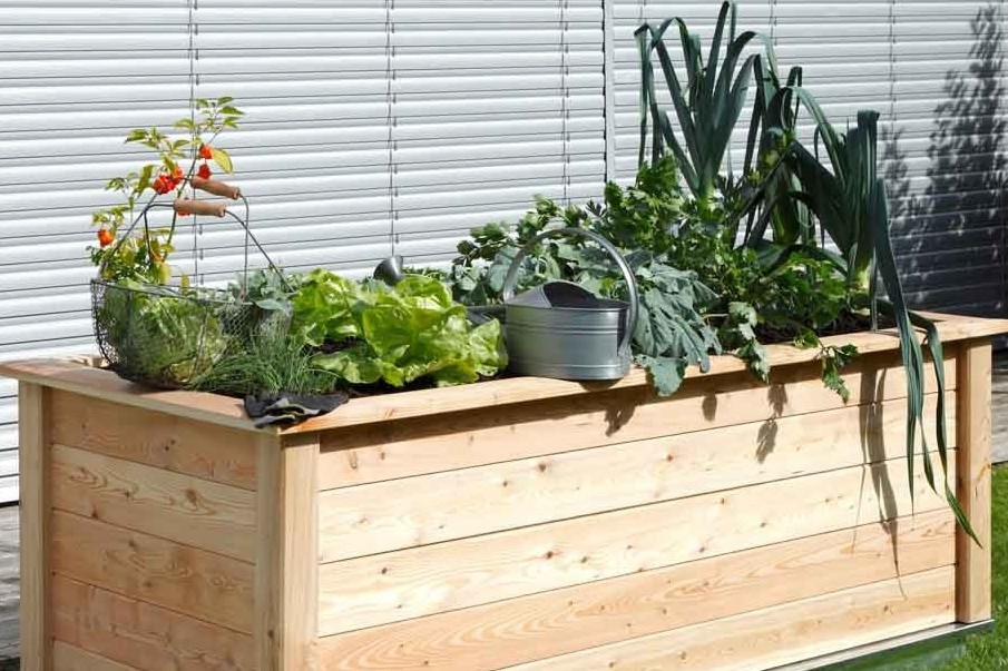 Ein Hochbeet ist die bequeme und platzsparende Alternative zu einem richtigen Gewächshaus