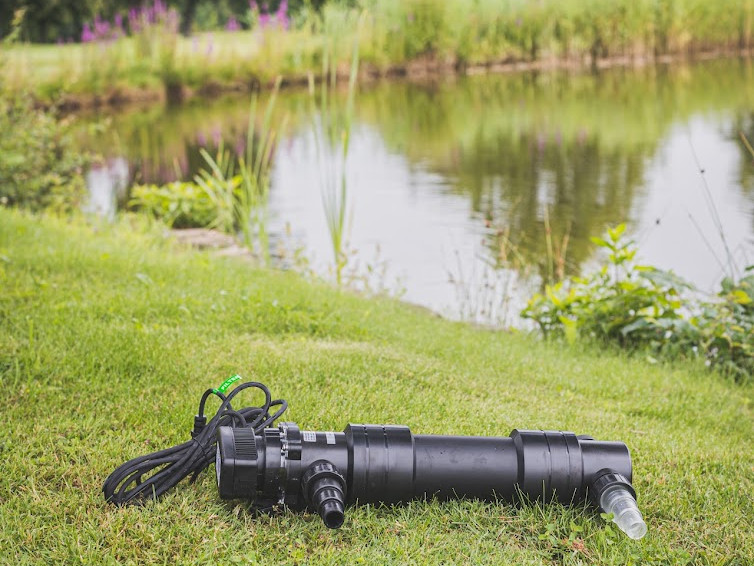 Herzstück eines jeden Teichs