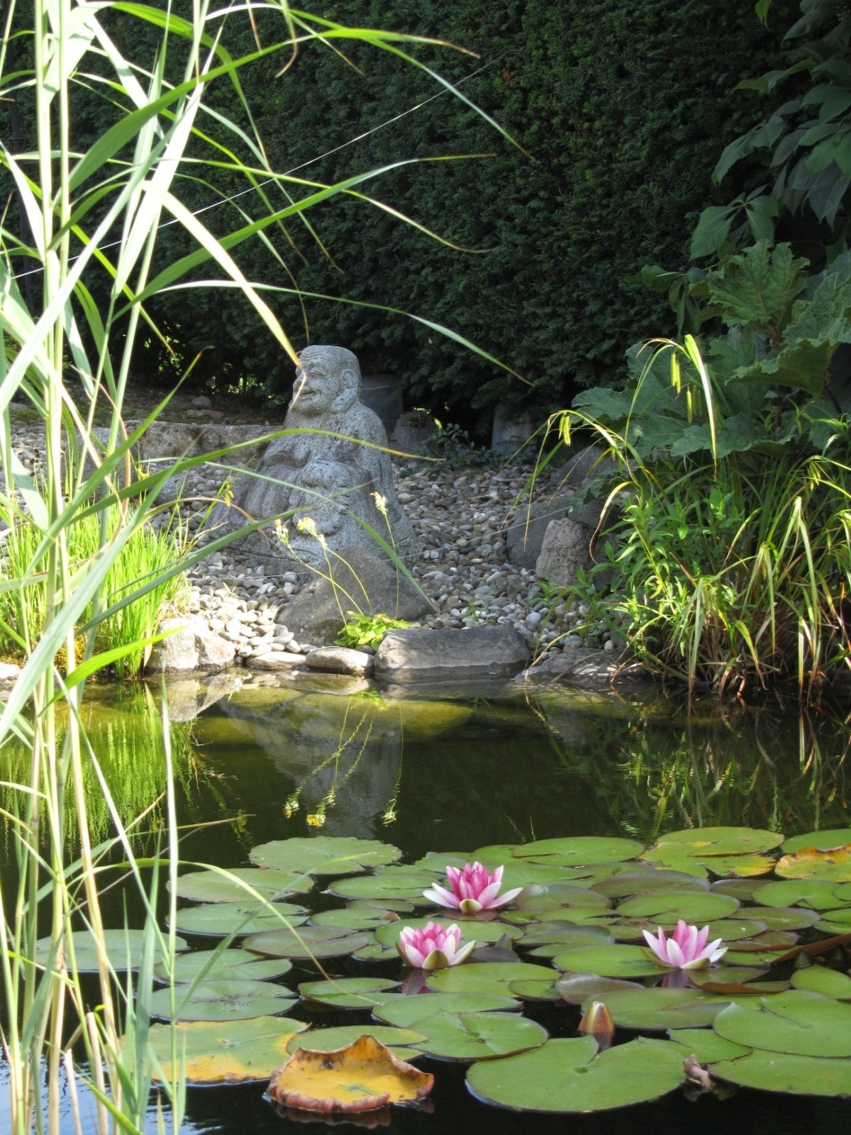 Beispiel: einen Teich vom Vorbesitzer umbauen