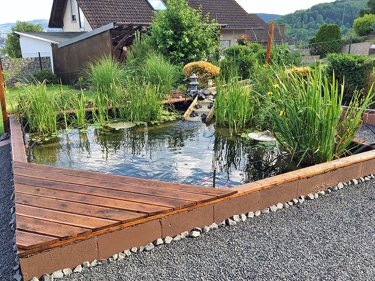 Teichspitze mit kleinem Steg
