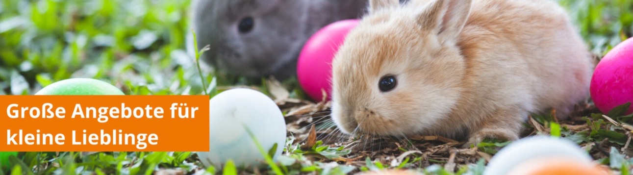 Osterangebote für Kleintiere