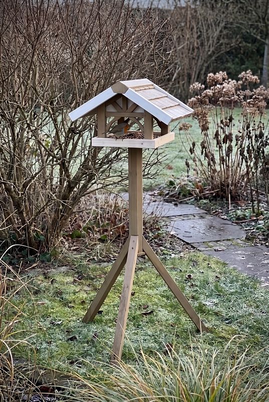 Im lasierten Holz-Vogelhaus pickt ein Rotkehlchen Körner