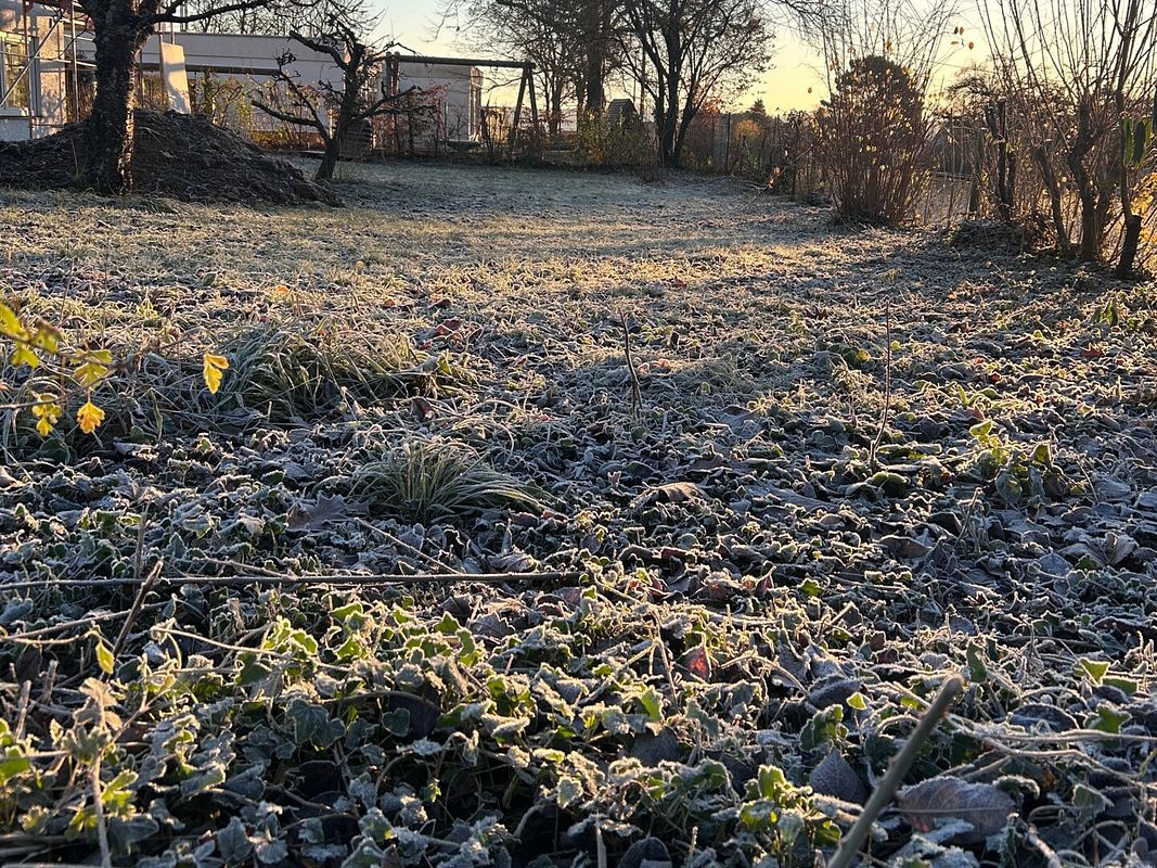 Rasenfläche mit Raureif