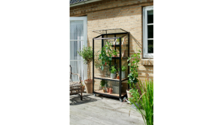 Juliana Weitere Gewächshäuser