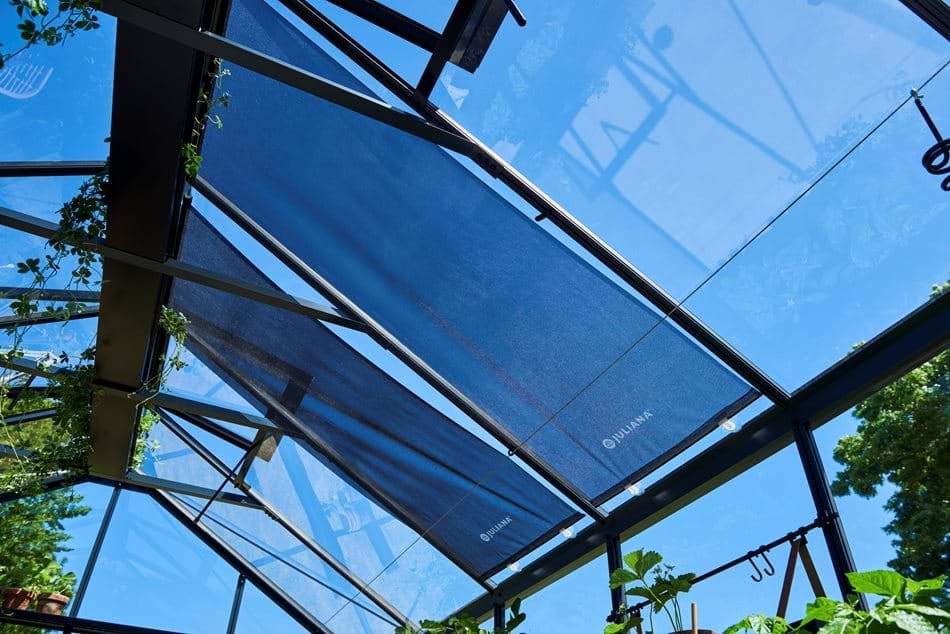 Juliana Licht & Schatten