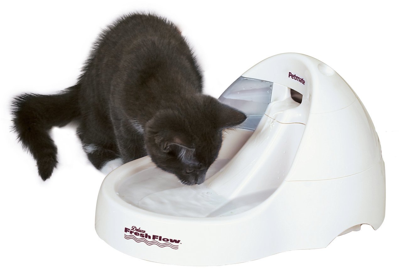 Futternäpfe & Trinkbrunnen für Katzen