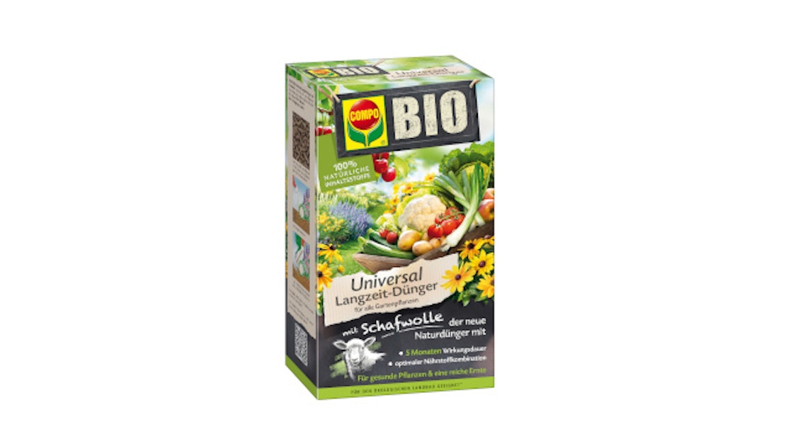 bananenpflanze online bestellen Bananen Pflanze – Green Me Up main image 0