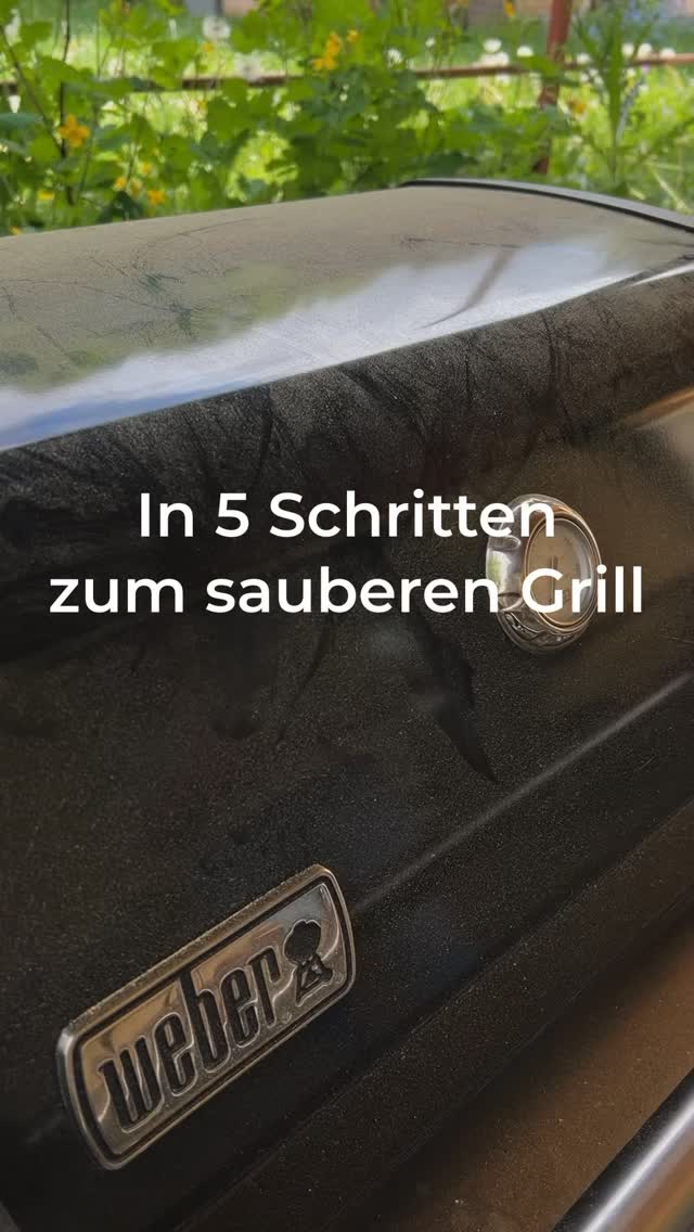Vorschaubild Instagram-Video