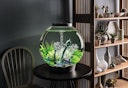 Vorschaubild BiOrb Aquarium CLASSIC 60 MCR