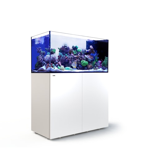 Red Sea REEFER™ Peninsula 500 G2+ Complete System