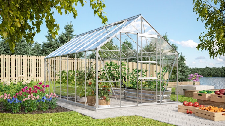 Vitavia Gewächshaus Merkur 11500 inkl. 2 Dachfenstern - 11,5 m²