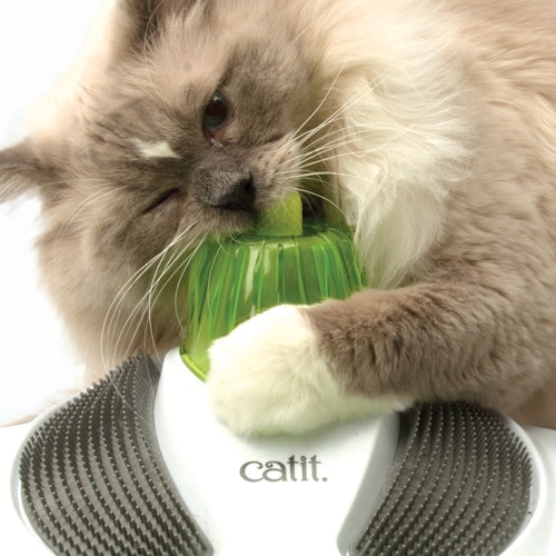 catit Senses 2.0 Wellness Center Katzenspielzeug