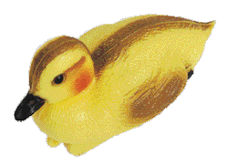 Oase Teichfigur Entenküken