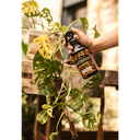 Vorschaubild Restberry´s Blattboost