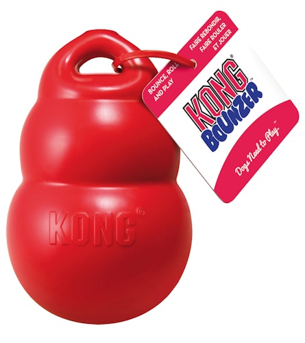 KONG Bounzer M Hundespielzeug