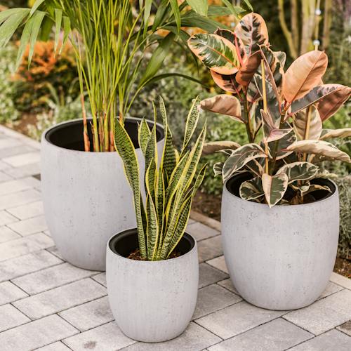 Plant Pot Toivo