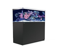 Red Sea REEFER™ 425 System G2+