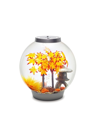biOrb Decor Set 30L Herbst (55027)