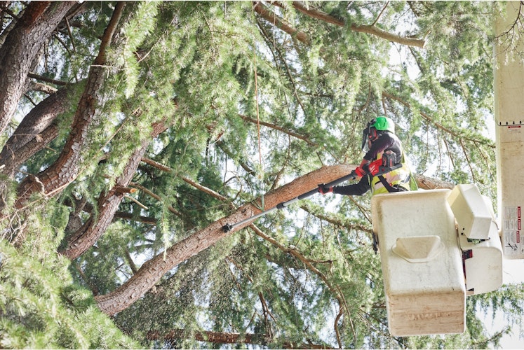 Milwaukee M18FTPS30-121 M18 FUEL™ Akku-Teleskop-Astsäge 4933499227