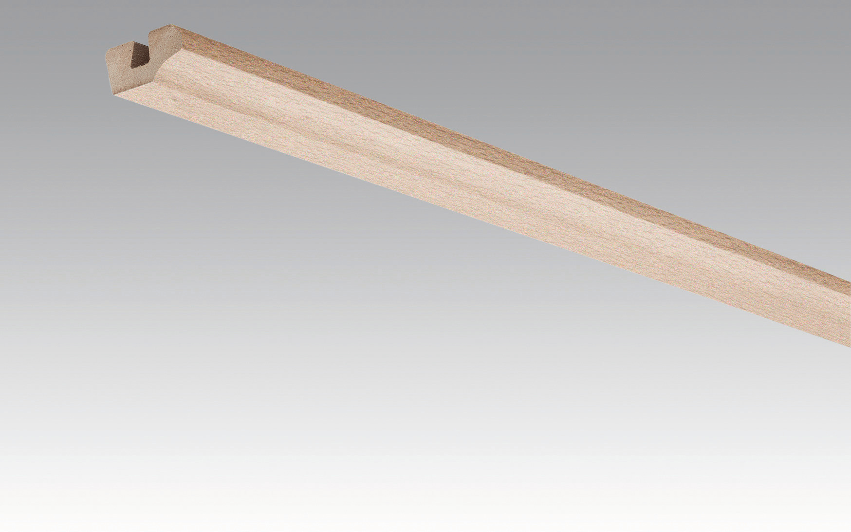 MEISTER Deckenabschlussleiste 19/38 mm  Buche pure 4094 - 2380 mm
