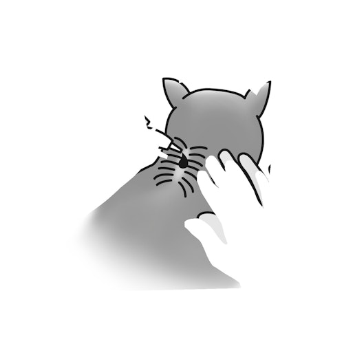 ARDAP Spot-on gegen Ungeziefer 3 x 0,8 ml für Katzen über 4kg