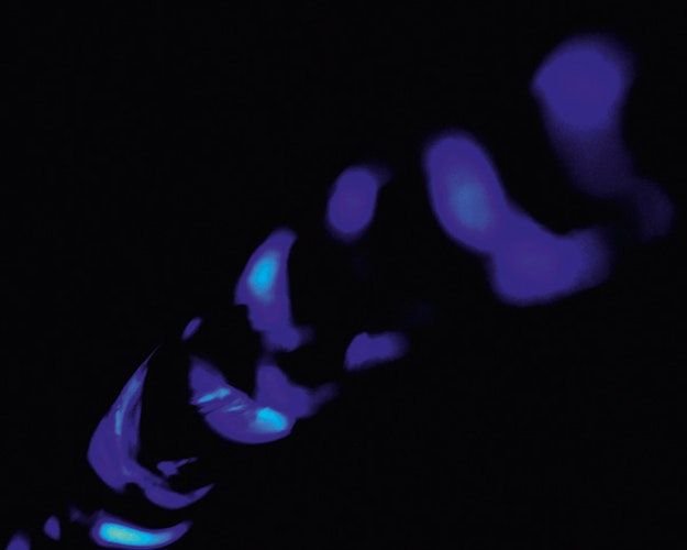 Oase JumpingJet Rainbow Star Erweiterungsset