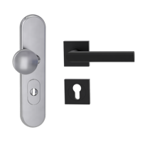 Griffwerk Kombi-Schutzbeschlag TITANO SB_882 mit Griff TRI 134 72mm Zylinderabdeckung Tür 38-50mm R TRI 134 eckig Graphitschwarz