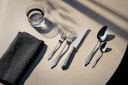 WMF Besteck-Set Fächer, 30-teilig