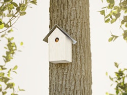 Alberts® Schutzspitzdach für Futterhaus